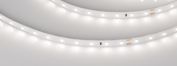 Лента IC-A60-10mm 24V Day5000 (4.6 W/m, IP20, 2835, 30m) (Arlight, 4.6 Вт/м, IP20)