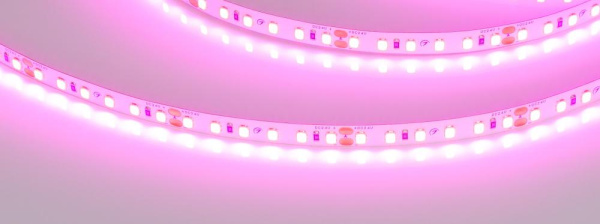 Лента RT-A120-8mm 24V Magenta (9.6 W/m, IP20, 2835, 5m) (Arlight, -)