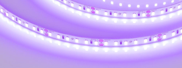 Лента RT-A120-8mm 24V Violet (9.6 W/m, IP20, 2835, 5m) (Arlight, -)