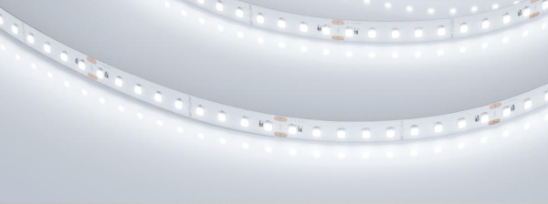 Лента UL-A126-10mm 24V White6000 (8 W/m, IP20, 5m) (Arlight, высок.эфф.165 лм/Вт)