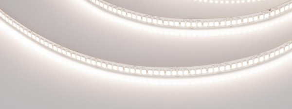 Лента RT-A280-8mm 24V Day4000  (10 W/m, IP20, 5m) (Arlight, -)