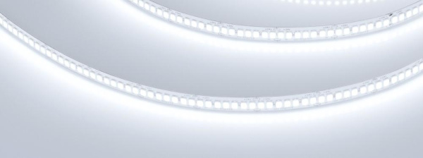 Лента RT-A280-8mm 24V White6000 (10 W/m, IP20, 5m) (Arlight, -)