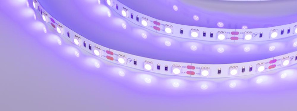 Лента RT 2-5000 12V UV400 2x (5050, 300 LED, LUX) (Arlight, 14.4 Вт/м, IP20)