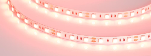 Лента RT 2-5000 12V Red 2x (5060, 300 LED, LUX) (Arlight, 14.4 Вт/м, IP20)