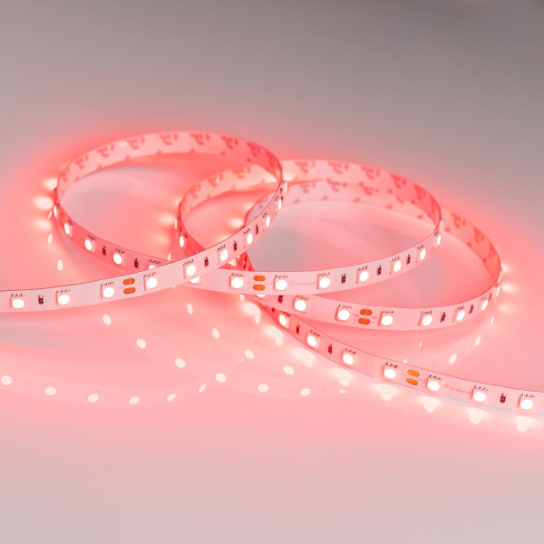 Лента RT 2-5000 24V Red 2x (5060, 300 LED, LUX) (Arlight, 14.4 Вт/м, IP20)