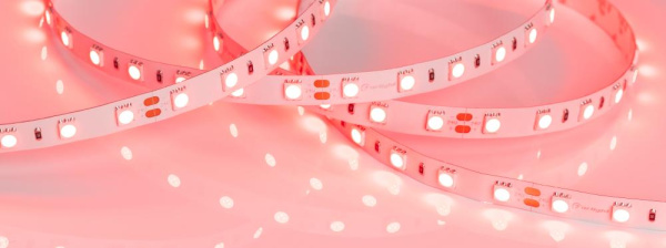 Лента RT 2-5000 24V Red 2x (5060, 300 LED, LUX) (Arlight, 14.4 Вт/м, IP20)
