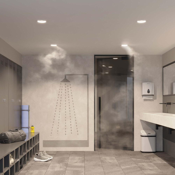 Светильник MS-MIST-BUILT-R220-30W Day4000 (WH, 110 deg, 230V) (Arlight, IP54 Металл, 5 лет)