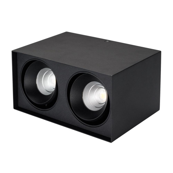 Светильник SP-CUBUS-S100x200-2x11W Day4000 (BK, 40 deg, 230V) (Arlight, IP20 Металл, 3 года)