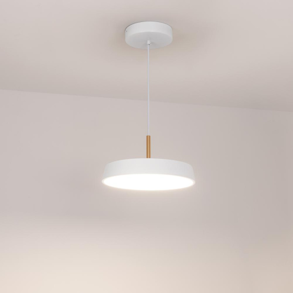 Светильник SP-ELEGANT-R300-17W Day4000 (WH, 120 deg, 230V) (Arlight, IP20 Металл, 3 года)