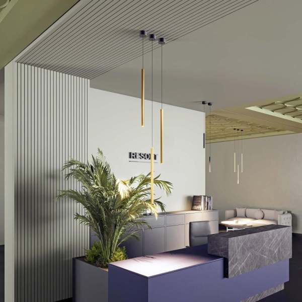 Светильник SP-PIPE-HANG-L300-R30-9W Warm3000 (BK, 24 deg, 230V) (Arlight, IP20 Металл, 3 года)