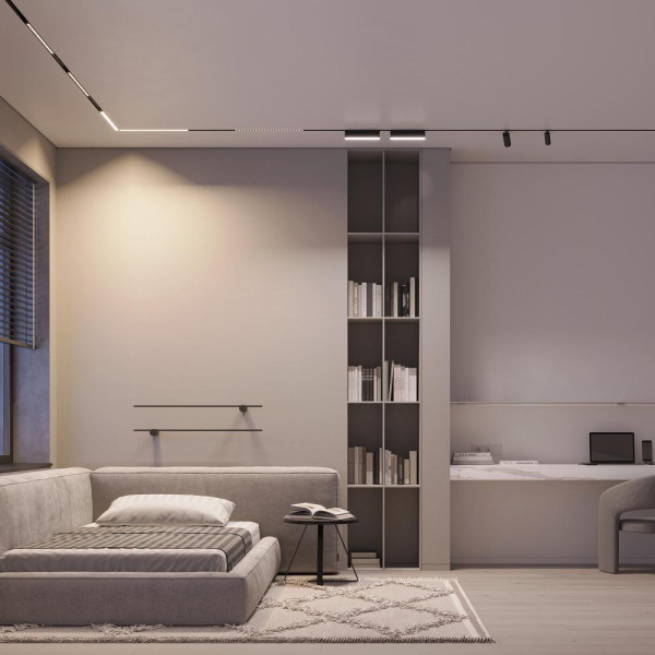 Светильник MAG-ORIENT-SPOT-R35-6W Day4000-MIX (BK, 24 deg, 48V, DALI) (Arlight, IP20 Металл, 5 лет)