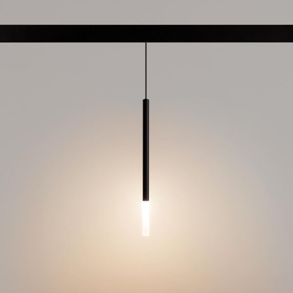 Светильник MAG-ORIENT-STICK-HANG-R20-6W Warm3000 (BK, 180 deg, 48V) (Arlight, IP20 Металл, 5 лет)