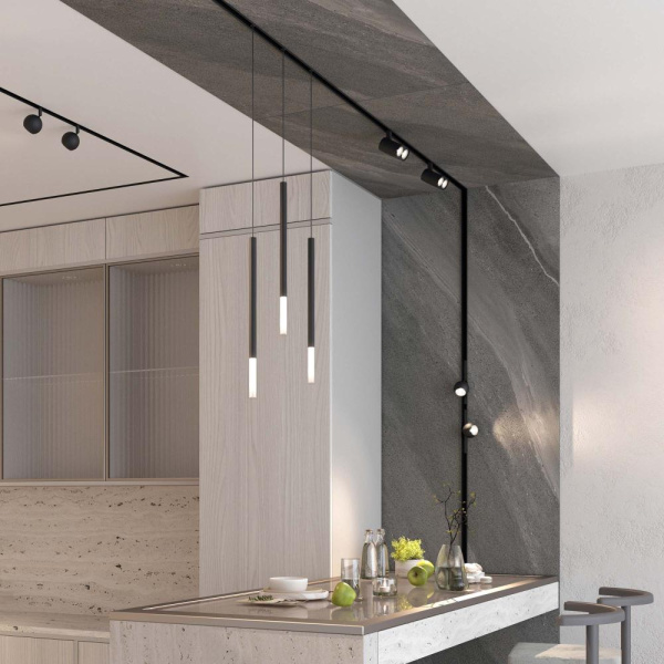 Светильник MAG-ORIENT-ORB-R60-10W Day4000 (BK, 35 deg, 48V) (Arlight, IP20 Металл, 5 лет)