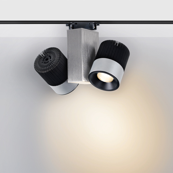 Светодиодный светильник LGD-2238SB-2x15W White 24deg (Arlight, IP20 Металл, 3 года)