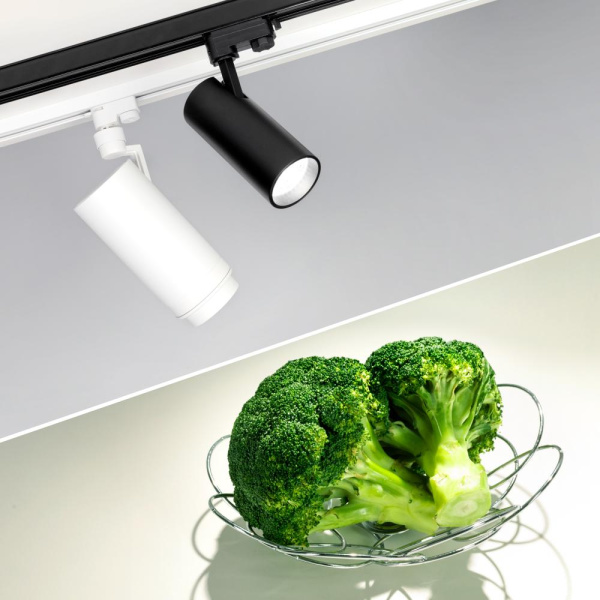 Светильник LGD-GERA-4TR-R74-20W Day SP5000-Veg (WH, 24 deg, 230V) (Arlight, IP20 Металл, 3 года)