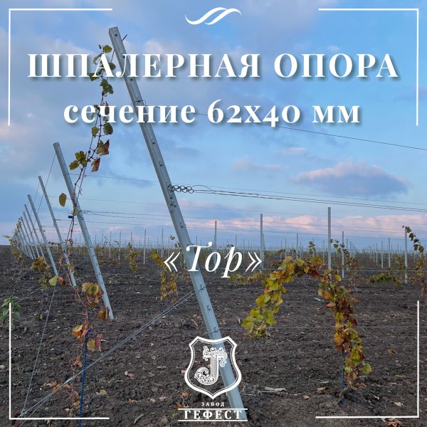 Шпалерная опора  сечение 62х40 мм 