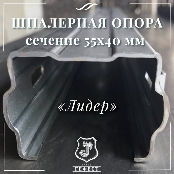 Шпалера для ежевики