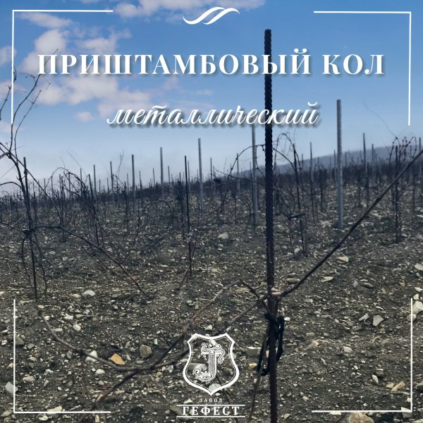 Кол приштамбовый металлический  для виноградников