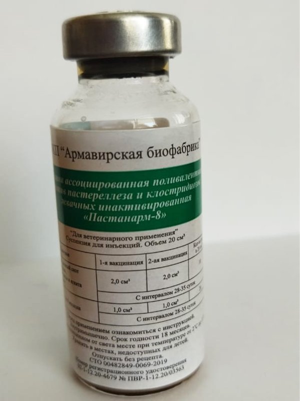 Пастанарм - 8 Вакцина ассоциированная поливалентная против пастереллеза и клостридиозов жвачных инактивированная
