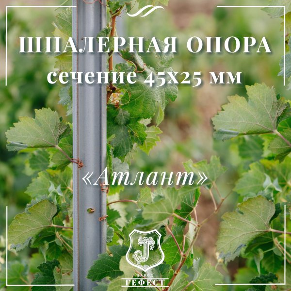 Шпалерная опора  сечение 45х25 мм 