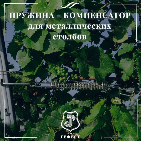 Пружина - компенсатор для откосных шпалерных столбов на виноградниках