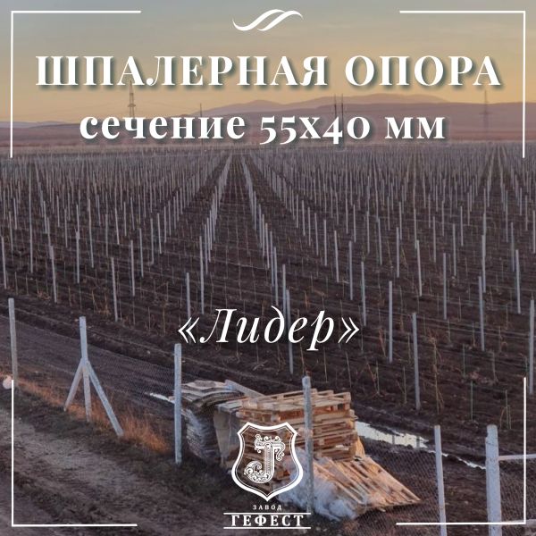 Шпалерная опора сечение 55х40 мм 