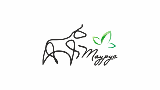 ТАУРУС, ООО