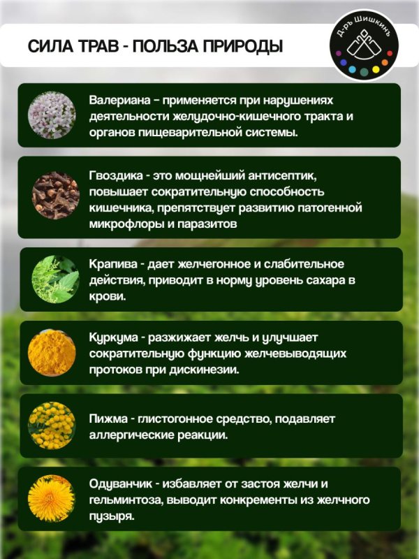 Сироп на травах 