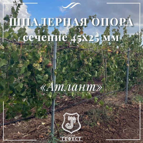 Шпалерная опора  сечение 45х25 мм 