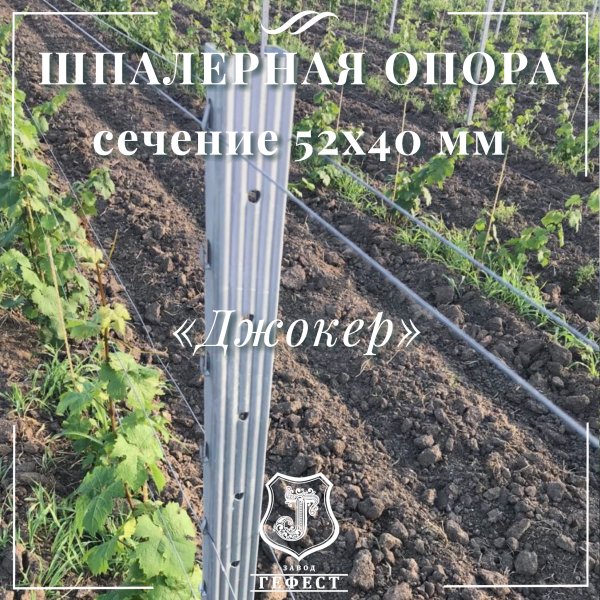 Шпалерная опора сечение 52х40 мм 