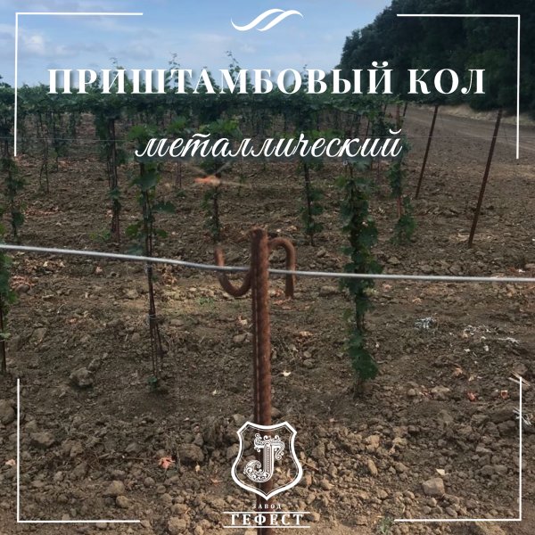 Кол приштамбовый металлический  для виноградников