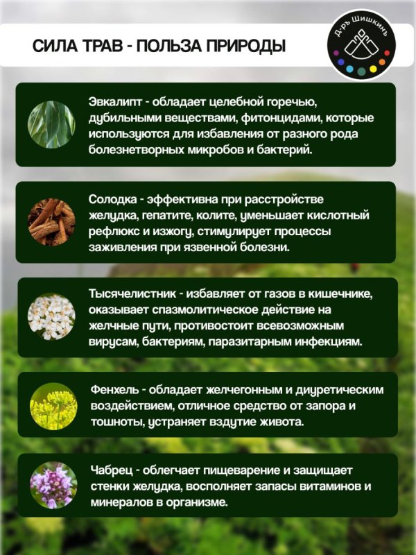 Сироп на травах 