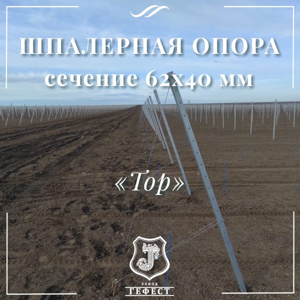 Шпалерная опора  сечение 62х40 мм 