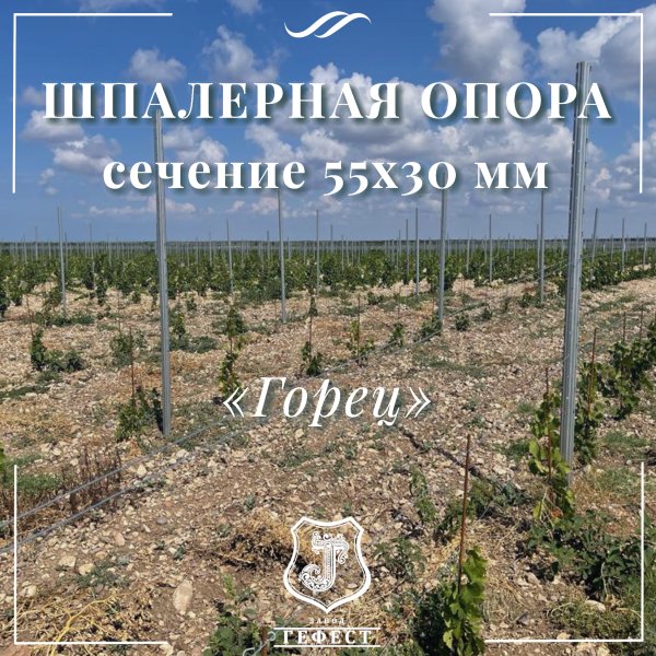 Шпалерная опора сечение 55х30 мм 