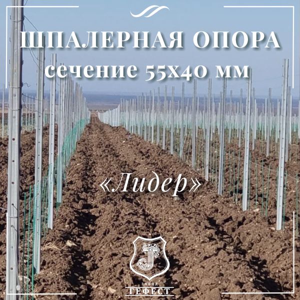 Шпалерная опора сечение 55х40 мм 