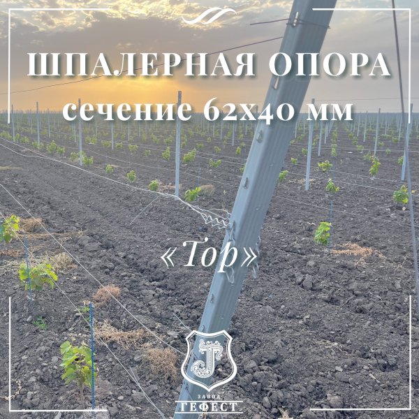 Шпалерная опора  сечение 62х40 мм 