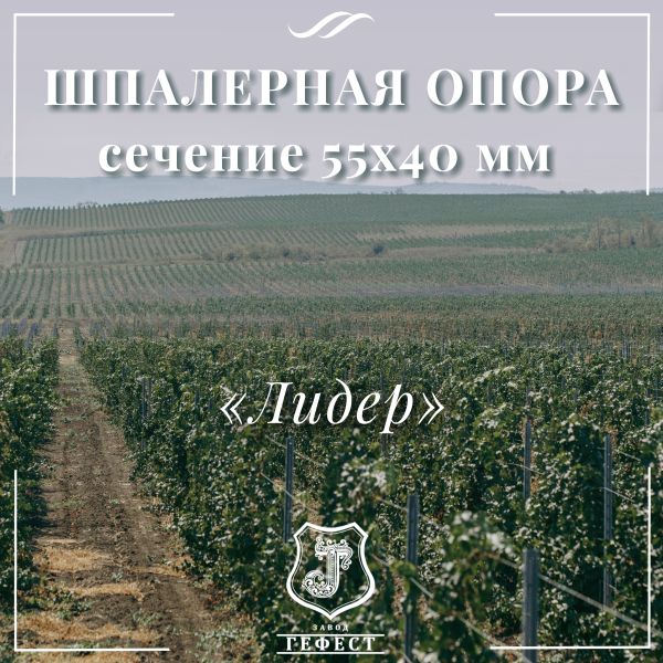 Шпалерная опора сечение 55х40 мм 