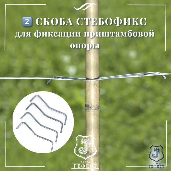 Скобы для фиксации приштамбовой опоры на винограднике
