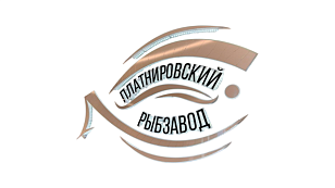 Кондрашов С.А., ИП