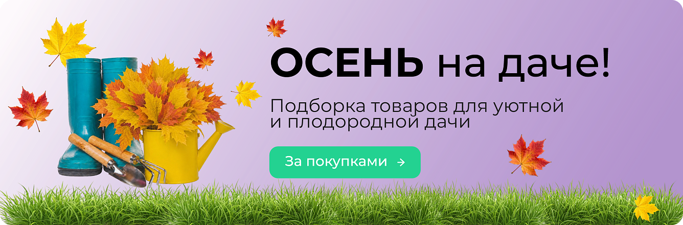 Осень на даче