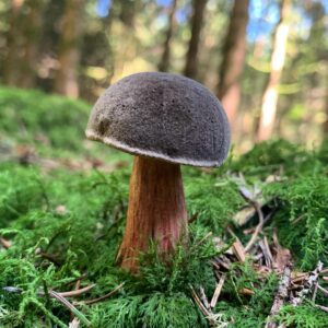 Моховик желто-бурый (Suillus variegatus)