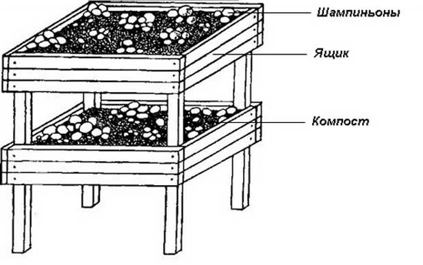 На стеллажах