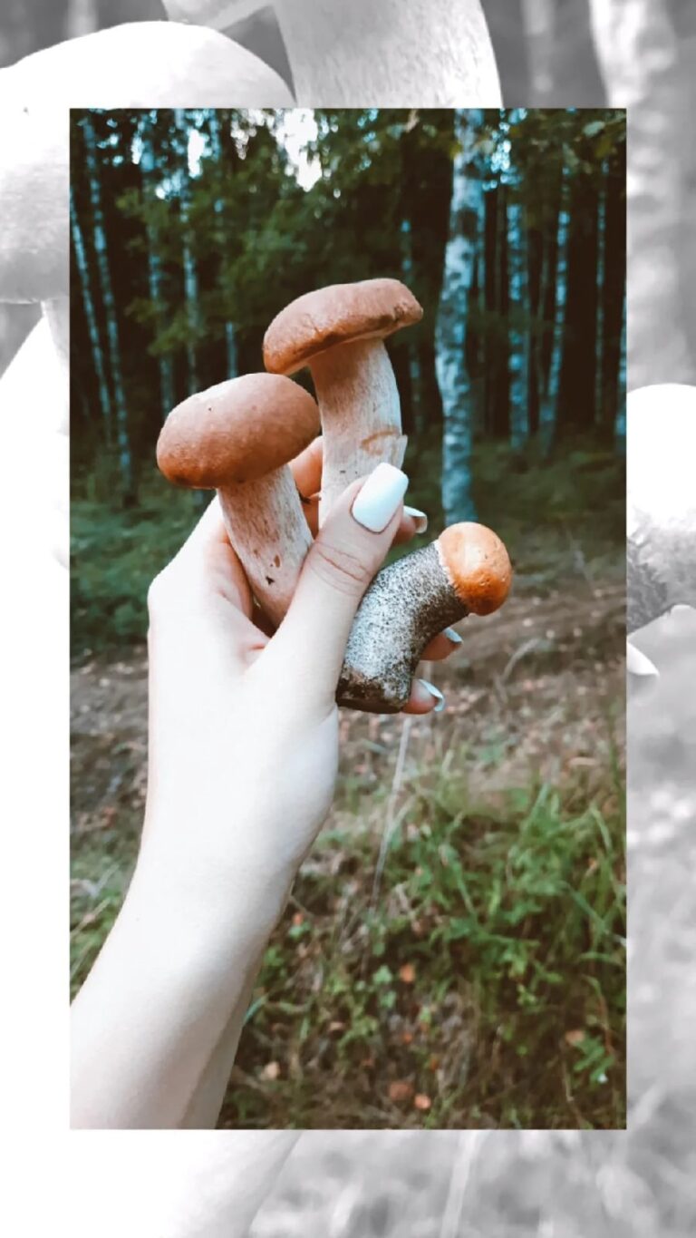 Фотография находки