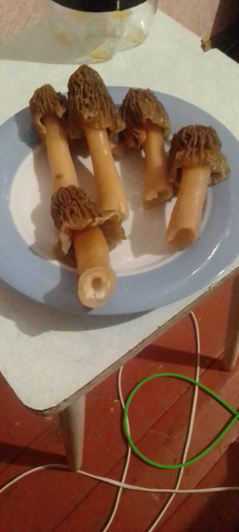 Фотография находки
