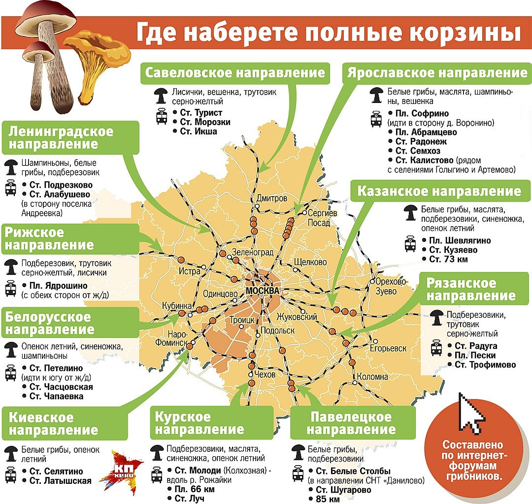 Грибные места Московской области