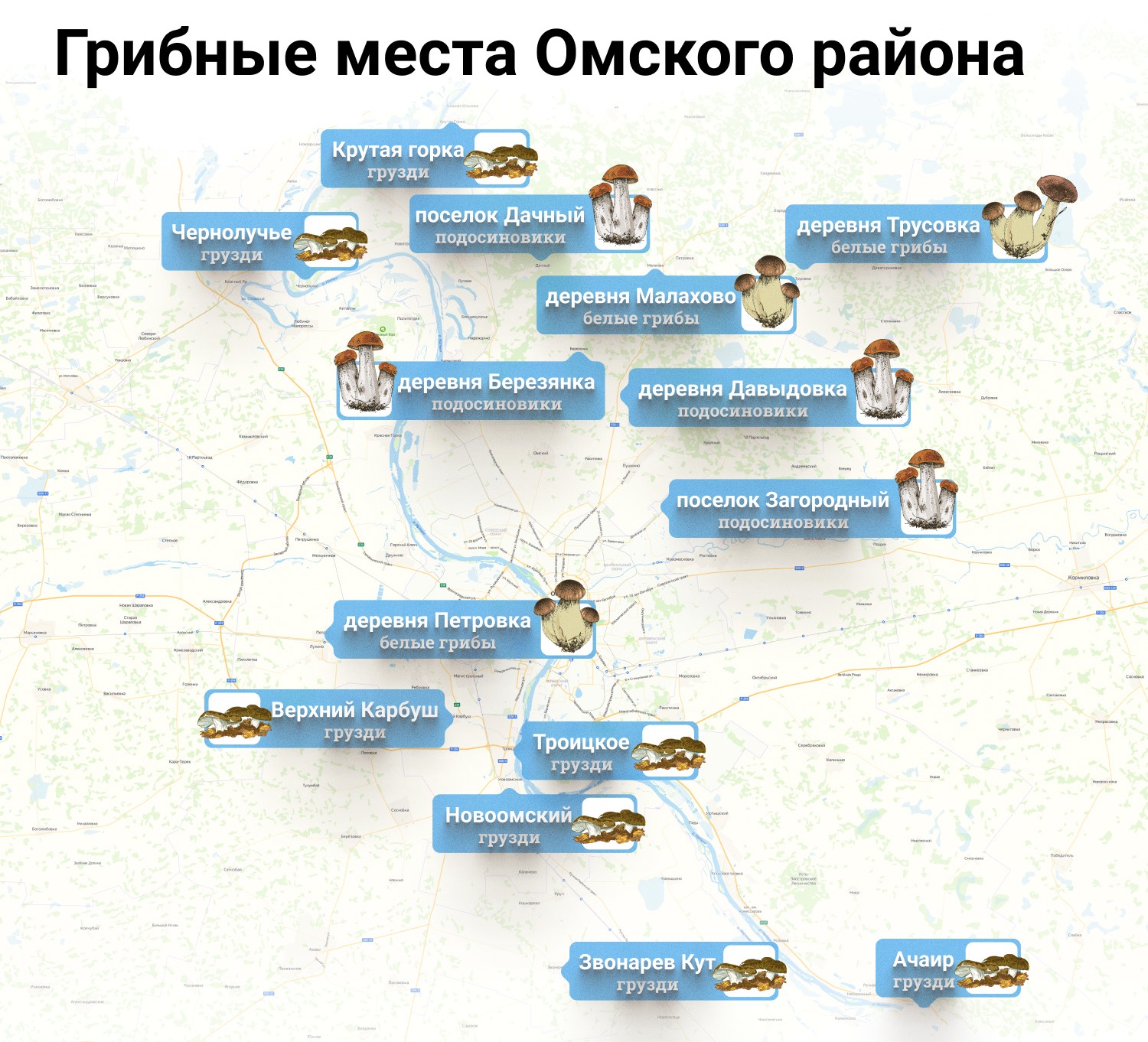 Грибные места Омского района