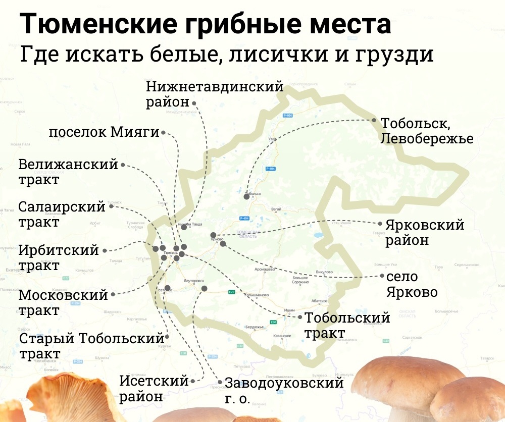 Тюменские грибные места