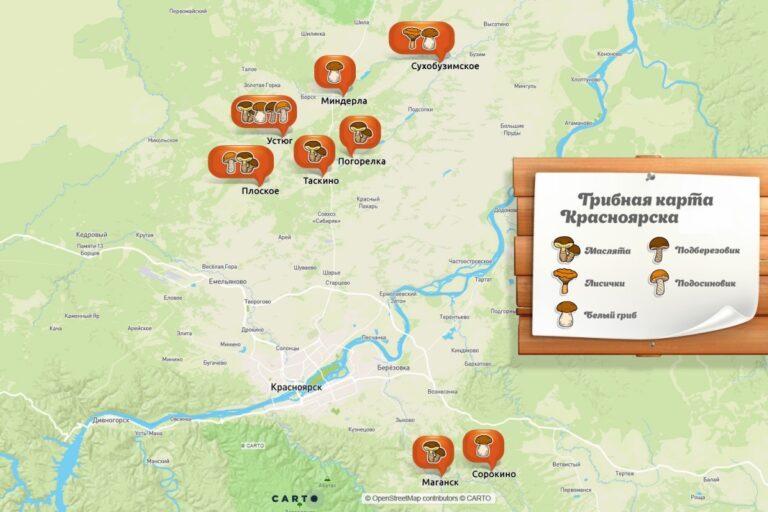 8 самых грибных мест под Красноярском