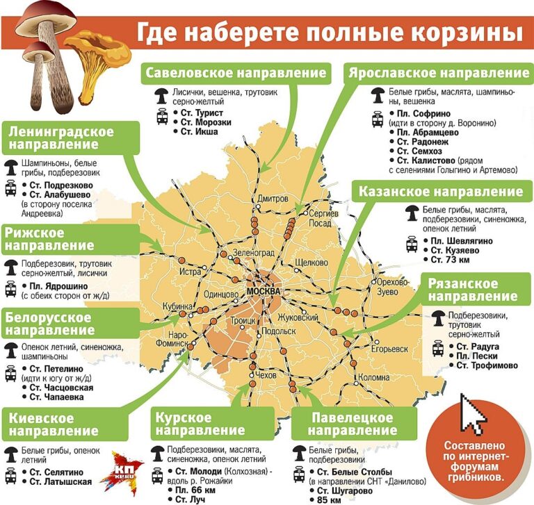 Грибные места Московской области