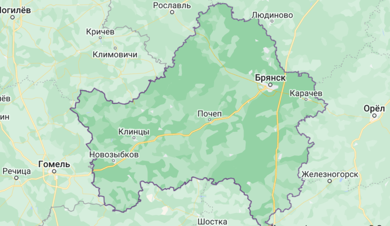 Карта Брянской области